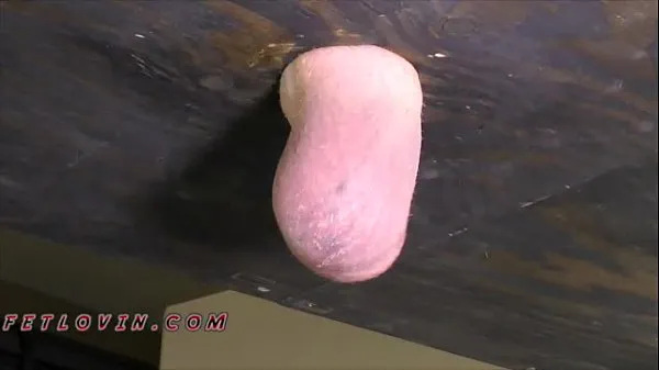 Regarder Testicle Boxing Paradise - Échantillon Basse RésolutionPower Tube