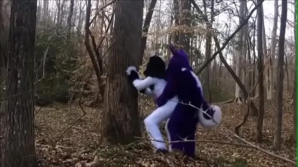 Assista Casal Fursuit acasalando-se na floresta Power Tube