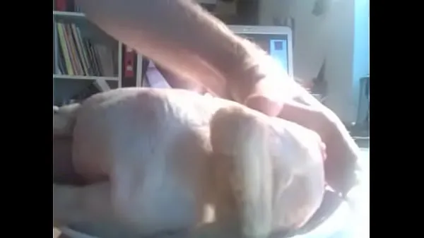 Obejrzyj chicken masturbation , CHICKEN r., chicken sexlampę energetyczną