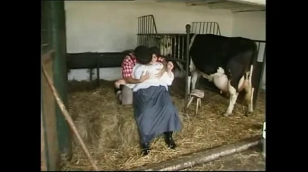 Regarder Spermageile vache Fotzen. Porno, -de- (UPLOAD PornolandPower Tube